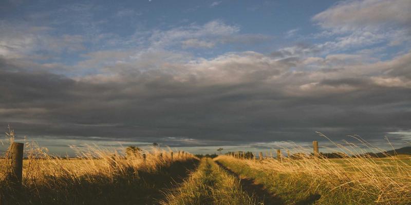 杭州四季护肤差异指南：应对梅雨酷暑的本地化美容方案