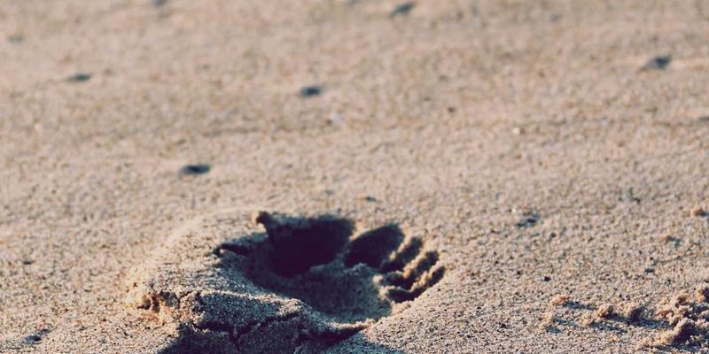 杭州美容100：探索专业护肤与发型设计的艺术殿堂