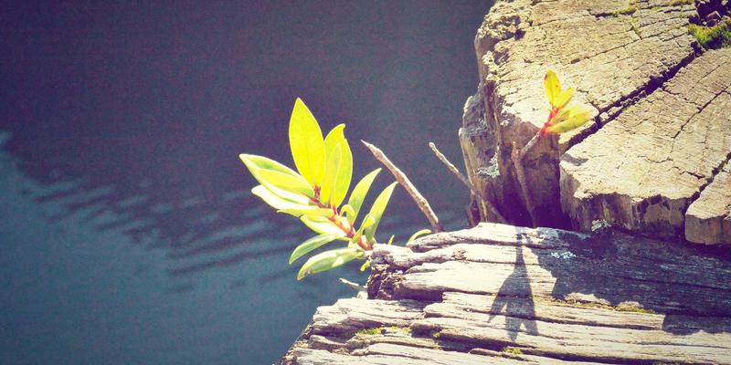 杭州美容78:专业美发与护肤的时尚交汇点