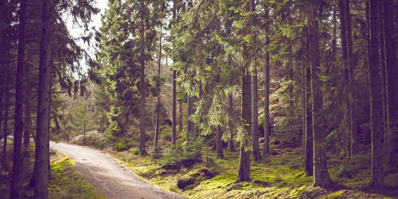 杭州美容81：解码杭城美妆美发新风尚