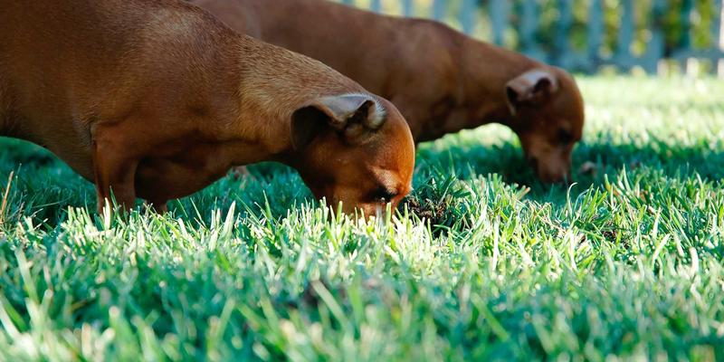 杭州美容仪器深度解析：家用与院线射频、超声刀如何选择 | 专业护肤指南