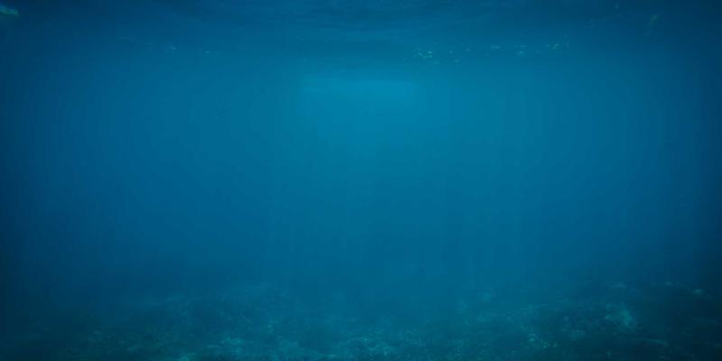 杭州美容师培训学校哪家强？深度解析行业内部评选与就业前景