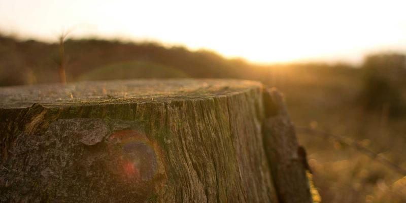 杭州美容师资质调查：如何查询发型设计与美容美发服务的专业认证？