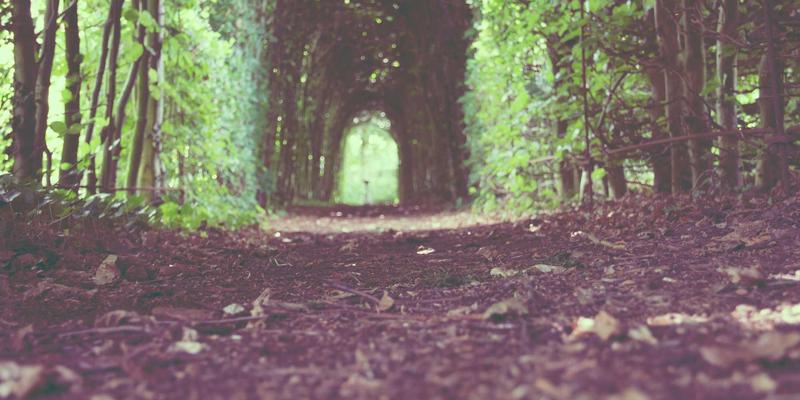 杭州美容推荐：解锁专业美发与科学护肤的时尚密码