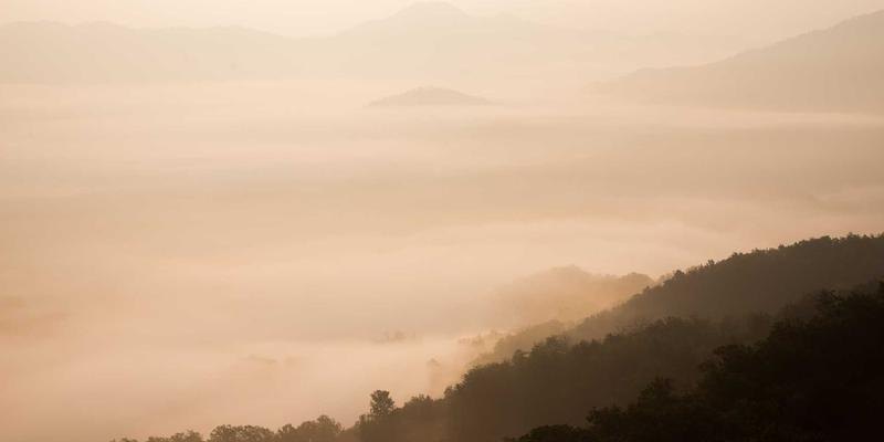 杭州美容美发服务新风尚：传统技艺与现代美学的完美融合