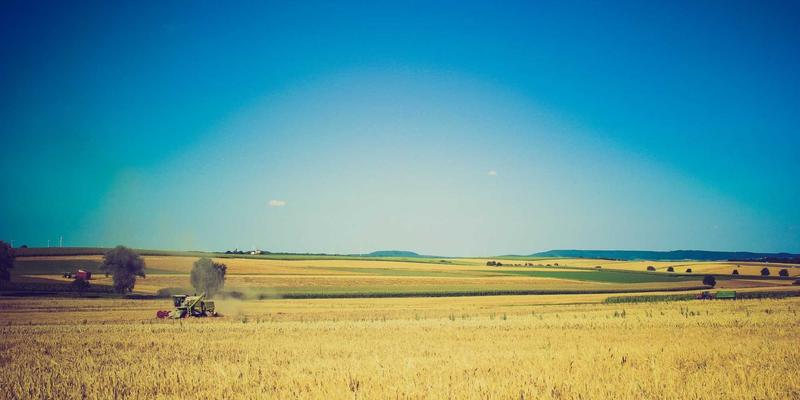 杭州美容行业就业前景分析：从学徒到资深美容师的职业发展路径