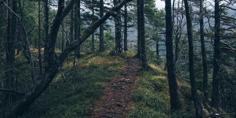 杭州职场女性时间管理术：午休高效美容与晚间密集护理的完美平衡之道